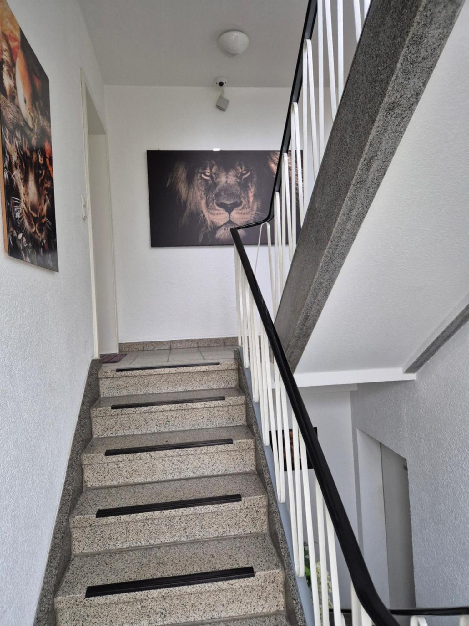 Ferienwohnungen Waldina Siegen Kültér fotó